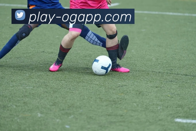 OG真人平台生态图